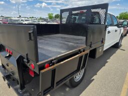 
										2017 Ford F-250 Super Duty XL full									