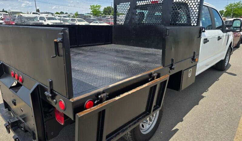 
								2017 Ford F-250 Super Duty XL full									