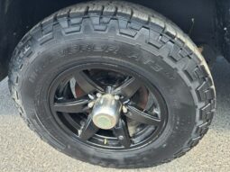 
										2021 TAXA MANTIS OVERLAND full									