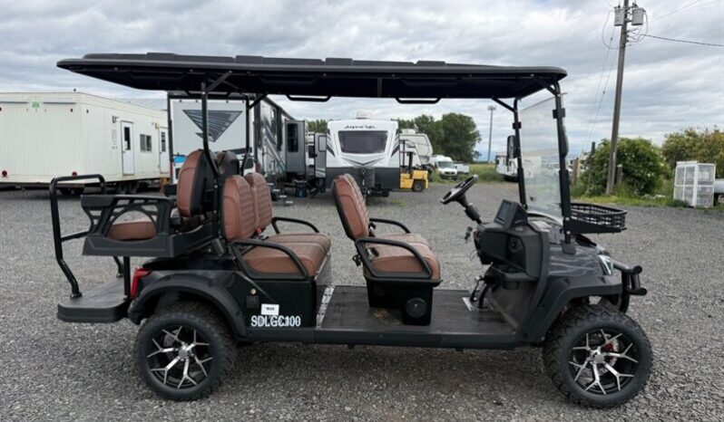 
								2025 SDLANCH SDLGC100 full									