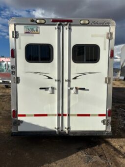 
										2006 SILVER-LITE Spirit S3P77.528.7GN full									
