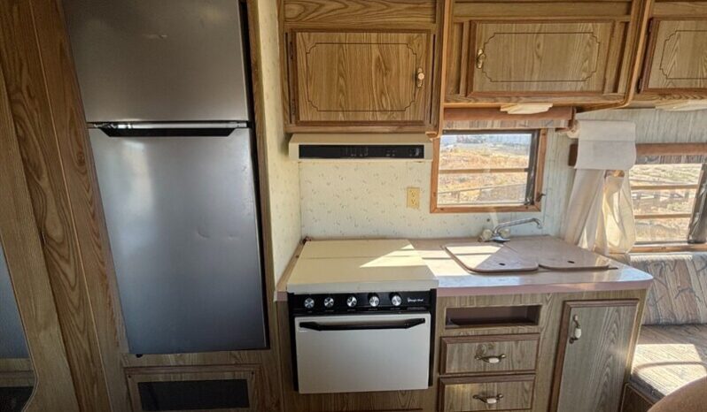 
								1989 Fleetwood Prowler Lynx 25-5k full									