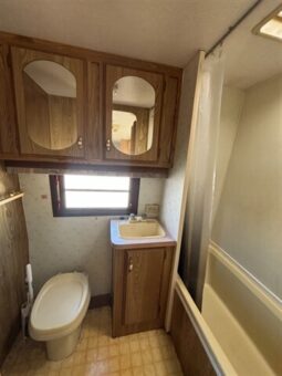 
										1989 Fleetwood Prowler Lynx 25-5k full									
